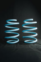 Neotech Lowering Springs
