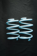 Neotech Lowering Springs