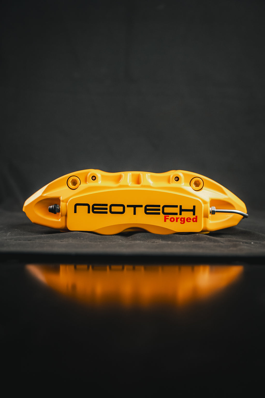 Neotech 4P Rear Brake Kit
